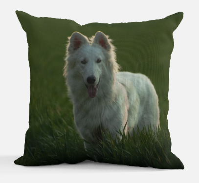 Oreiller Mon animal préféré
